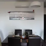 Apartments Miocic