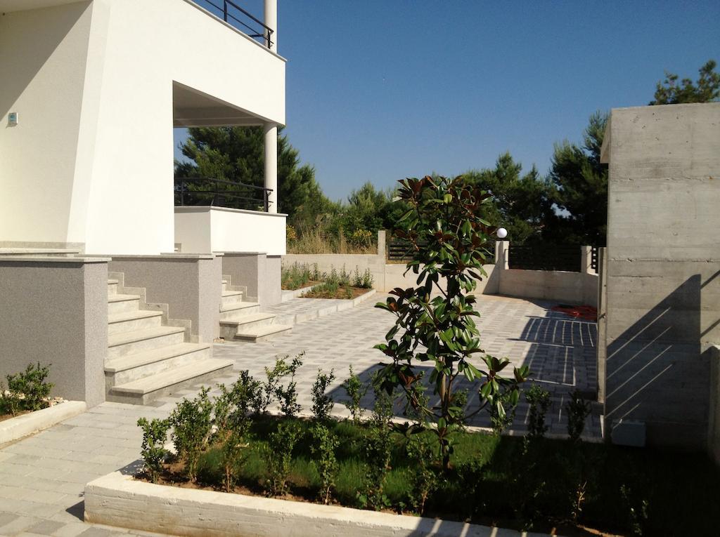 Apartment Miocic